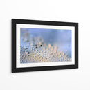 Gotas de rocío de diente de león en grande - Heidi Westum | Cuadro decorativo de Canvas Lab