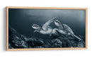 Tortugas marinas nadan con gracia - Andrey Narchuk | Cuadro decorativo de Canvas Lab