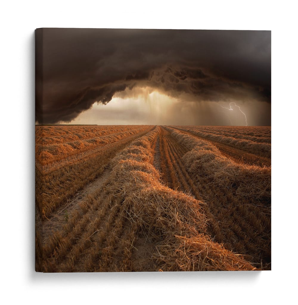 Relámpago sobre un campo de heno - Nicolas Schumacher | Cuadro decorativo de Canvas Lab