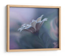 Delicadas gotas de agua - Juliana Nan | Cuadro decorativo de Canvas Lab