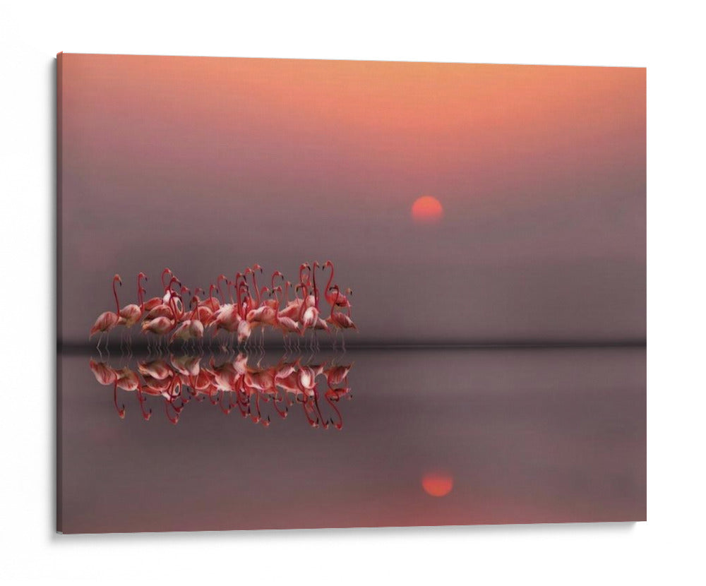 Flamencos al atardecer - Anna Cseresnjes | Cuadro decorativo de Canvas Lab