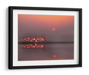 Flamencos al atardecer - Anna Cseresnjes | Cuadro decorativo de Canvas Lab