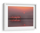 Flamencos al atardecer - Anna Cseresnjes | Cuadro decorativo de Canvas Lab