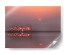 Flamencos al atardecer - Anna Cseresnjes | Cuadro decorativo de Canvas Lab