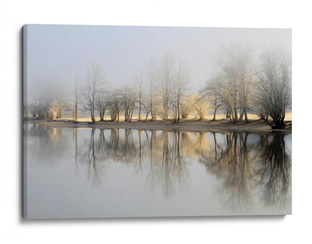 Reflejos invernales brumosos - Bor | Cuadro decorativo de Canvas Lab