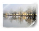 Reflejos invernales brumosos - Bor | Cuadro decorativo de Canvas Lab