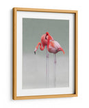 Gráciles flamencos rosados - Anna Cseresnjes | Cuadro decorativo de Canvas Lab