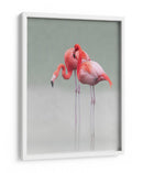 Gráciles flamencos rosados - Anna Cseresnjes | Cuadro decorativo de Canvas Lab