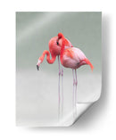 Gráciles flamencos rosados - Anna Cseresnjes | Cuadro decorativo de Canvas Lab