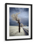 Camino del árbol blanco etéreo - Piotr Krol (Bax) | Cuadro decorativo de Canvas Lab