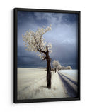 Camino del árbol blanco etéreo - Piotr Krol (Bax) | Cuadro decorativo de Canvas Lab