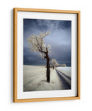 Camino del árbol blanco etéreo - Piotr Krol (Bax) | Cuadro decorativo de Canvas Lab