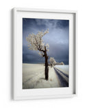 Camino del árbol blanco etéreo - Piotr Krol (Bax) | Cuadro decorativo de Canvas Lab