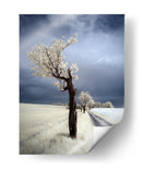 Camino del árbol blanco etéreo - Piotr Krol (Bax) | Cuadro decorativo de Canvas Lab