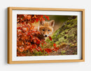 Cachorro de zorro curioso de otoño - Robert Adamec | Cuadro decorativo de Canvas Lab