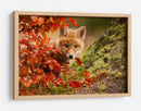 Cachorro de zorro curioso de otoño - Robert Adamec | Cuadro decorativo de Canvas Lab