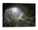 Arco de la cueva del bosque brumoso - Esmee Prexus | Cuadro decorativo de Canvas Lab