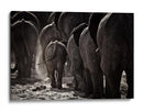 Familia de elefantes polvorientos - Ben McRae | Cuadro decorativo de Canvas Lab