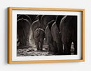Familia de elefantes polvorientos - Ben McRae | Cuadro decorativo de Canvas Lab