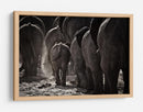 Familia de elefantes polvorientos - Ben McRae | Cuadro decorativo de Canvas Lab