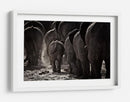 Familia de elefantes polvorientos - Ben McRae | Cuadro decorativo de Canvas Lab