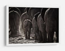 Familia de elefantes polvorientos - Ben McRae | Cuadro decorativo de Canvas Lab