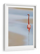 Flamenco rosa sereno - Anna Cseresnjes | Cuadro decorativo de Canvas Lab