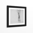Agraciada pose de ballet - Ton Dirven | Cuadro decorativo de Canvas Lab