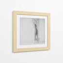 Agraciada pose de ballet - Ton Dirven | Cuadro decorativo de Canvas Lab
