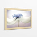 a n é m o n a - Mandy Disher | Cuadro decorativo de Canvas Lab