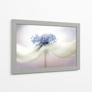 a n é m o n a - Mandy Disher | Cuadro decorativo de Canvas Lab