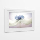 a n é m o n a - Mandy Disher | Cuadro decorativo de Canvas Lab