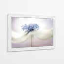 a n é m o n a - Mandy Disher | Cuadro decorativo de Canvas Lab