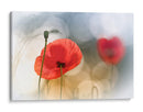 Amapolas rojas de ensueño - Steve Moore | Cuadro decorativo de Canvas Lab