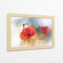 Amapolas rojas de ensueño - Steve Moore | Cuadro decorativo de Canvas Lab