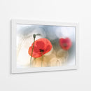 Amapolas rojas de ensueño - Steve Moore | Cuadro decorativo de Canvas Lab