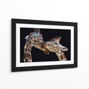 Amor tierno de jirafa - Manfred Foeger | Cuadro decorativo de Canvas Lab