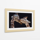 Amor tierno de jirafa - Manfred Foeger | Cuadro decorativo de Canvas Lab