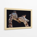 Amor tierno de jirafa - Manfred Foeger | Cuadro decorativo de Canvas Lab