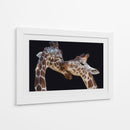 Amor tierno de jirafa - Manfred Foeger | Cuadro decorativo de Canvas Lab