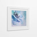 Anémona azul suave - Priska Wettstein | Cuadro decorativo de Canvas Lab