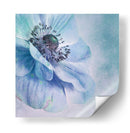 Anémona azul suave - Priska Wettstein | Cuadro decorativo de Canvas Lab