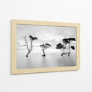 Árboles de agua serenos - Steven Fudge | Cuadro decorativo de Canvas Lab