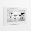 Árboles de agua serenos - Steven Fudge | Cuadro decorativo de Canvas Lab