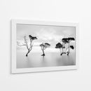 Árboles de agua serenos - Steven Fudge | Cuadro decorativo de Canvas Lab