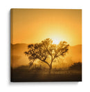 Árbol de la hora dorada - Piet Flour | Cuadro decorativo de Canvas Lab
