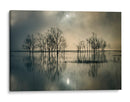 Árboles brumosos iluminados por la luna - joanne_flj | Cuadro decorativo de Canvas Lab