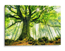 Árbol antiguo iluminado por el sol - Christophe Kiciak | Cuadro decorativo de Canvas Lab
