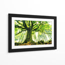 Árbol antiguo iluminado por el sol - Christophe Kiciak | Cuadro decorativo de Canvas Lab
