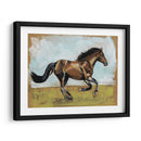 Estudios Ecuestres I - Naomi McCavitt | Cuadro decorativo de Canvas Lab